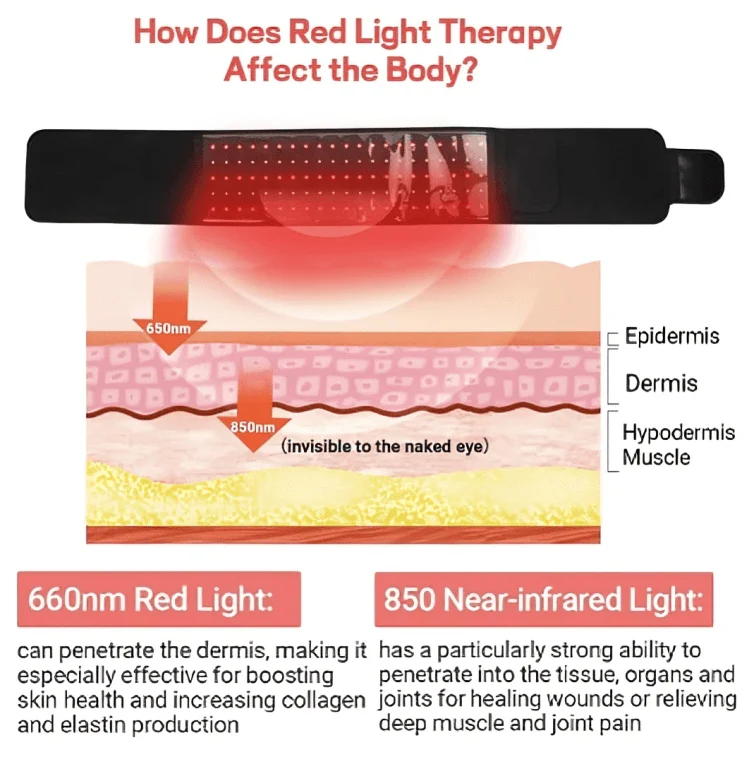 LipoGlow Slimming Belt - Image 7